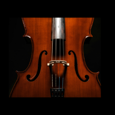CSO Violin Image